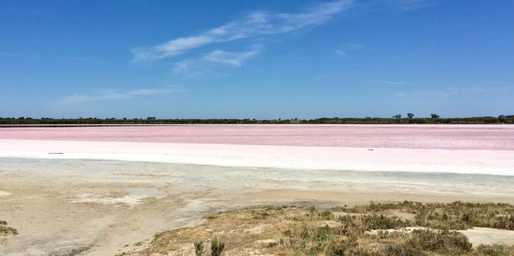 Pink Lake on Australian road trip itinerary