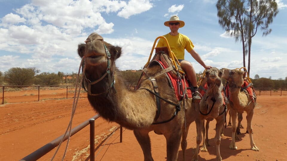 Things to do at Uluru - Camel Riding