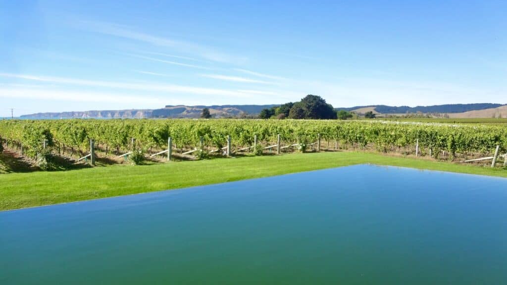Things to do in Hawke's bay - visit Elephant Hill winery