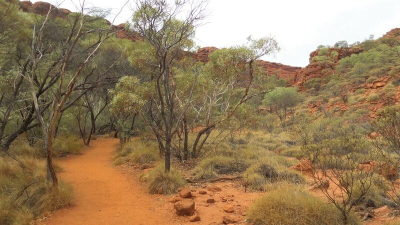 the path on the King's Canyon Hike in central Australia
