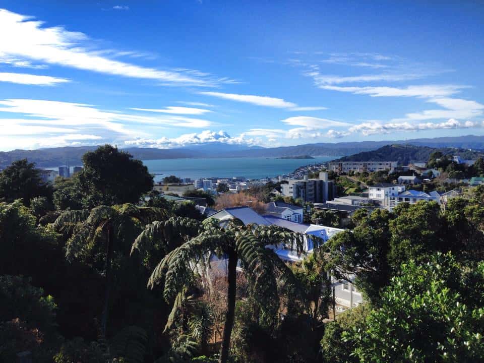 Wellington New Zealand - view from the Brooklyn neighborhood