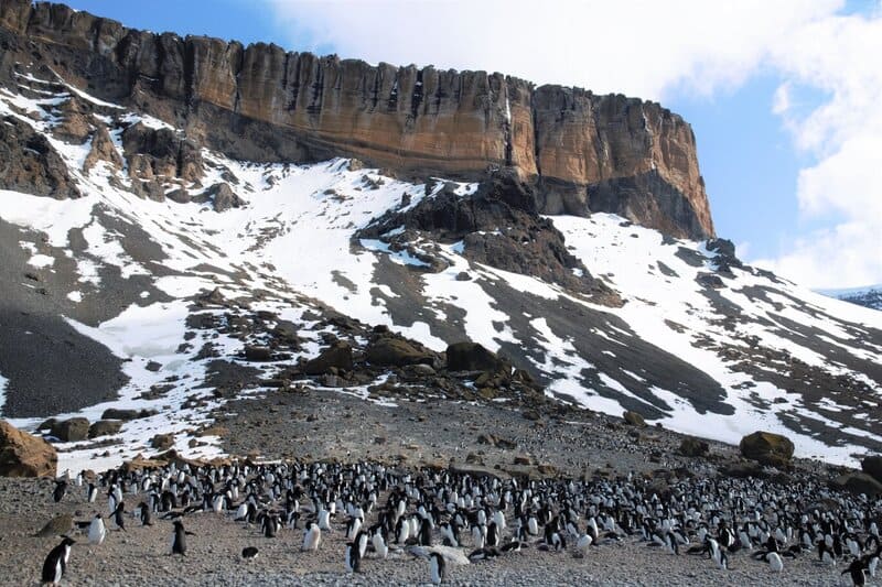 a penguin colony at Brown Bluff, Antarctica