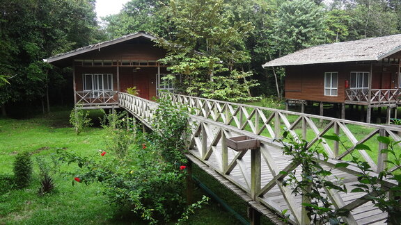 Borneo Nature Lodge in Kinabatangan Wildlife Sanctuary