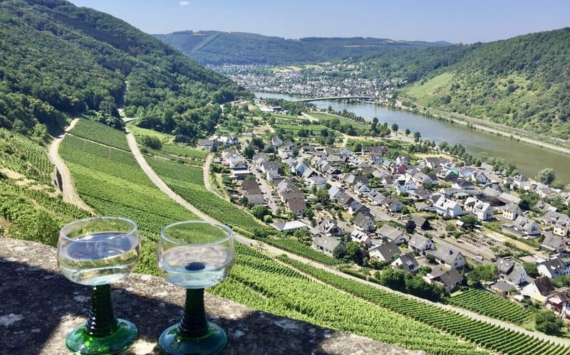 A view of the Mosel Valley from a castle with wine