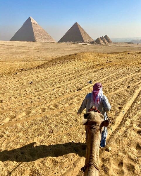 Camel ride in Giza