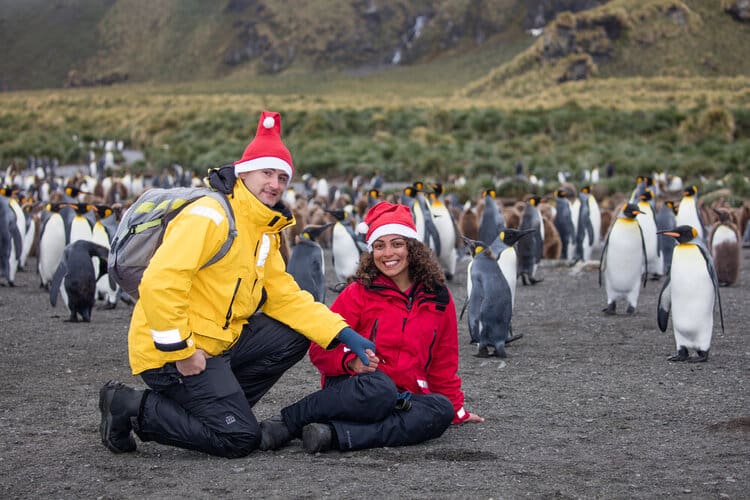 South Georgia Island Christmas with king penguins
