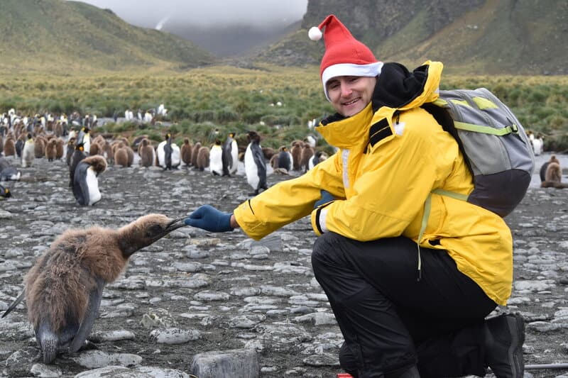 a baby king penguin biting Chris Heckmann's hand on South Georgia Island