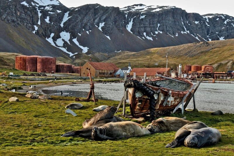 Grytviken historical whaling town in South Georgia Island