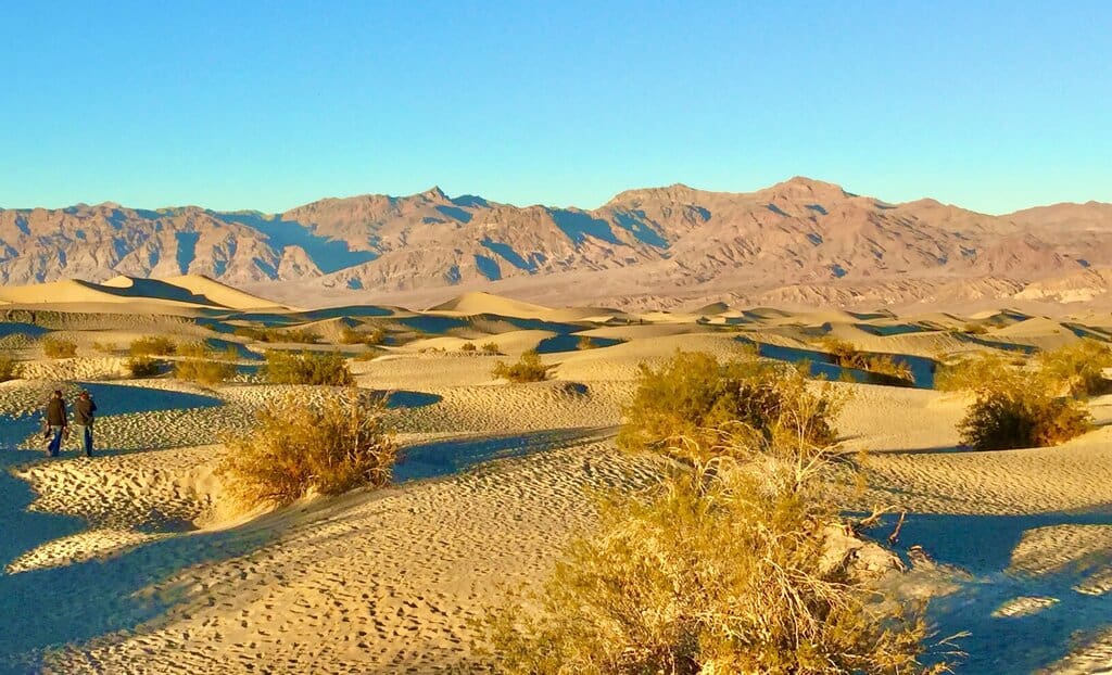 A photo of Mesquite sand dunes at Death Valley in the Mojave Desert