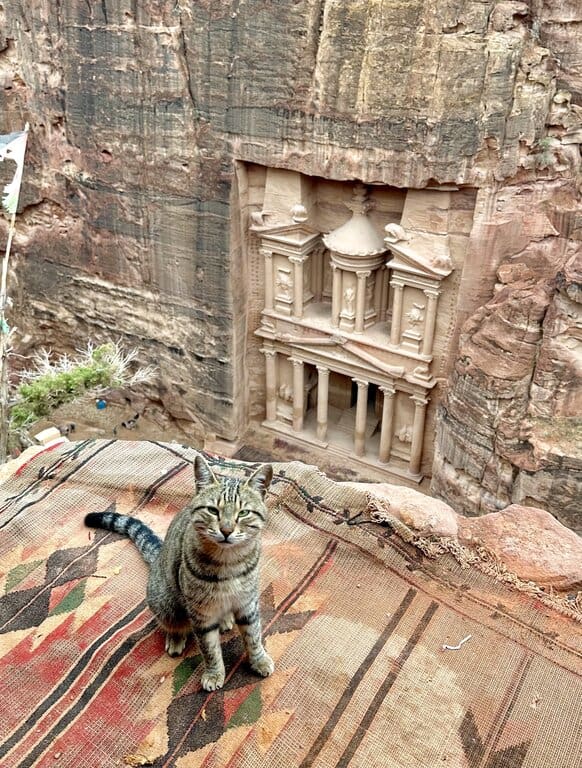 Petra Treasury from above with a friendly cat