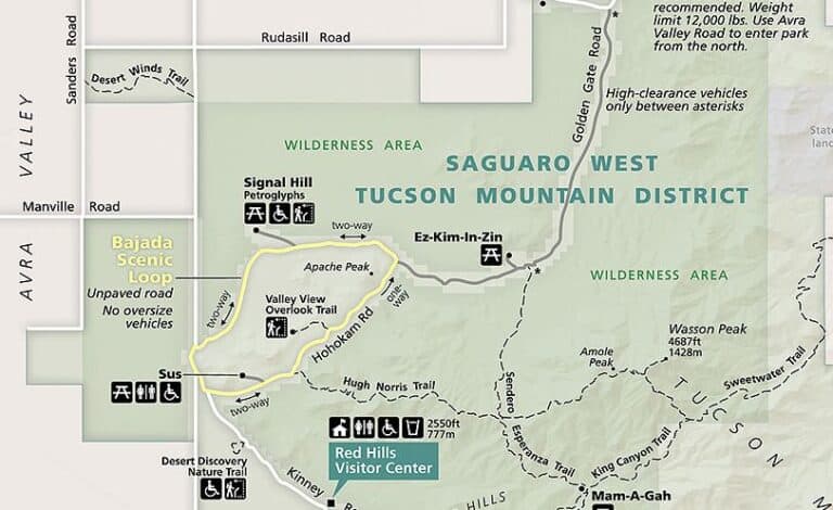 A Simple Guide to Saguaro National Park West