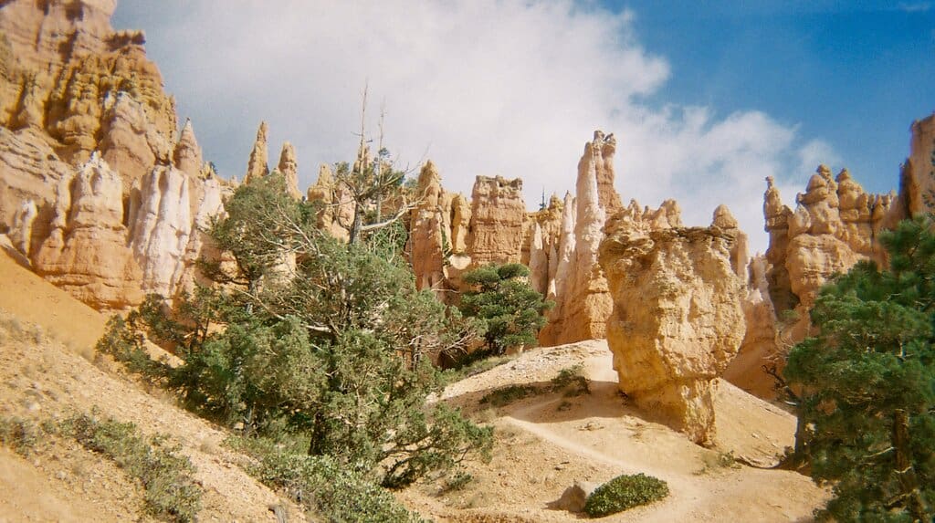 Bryce Canyon from the bottom of the canyon