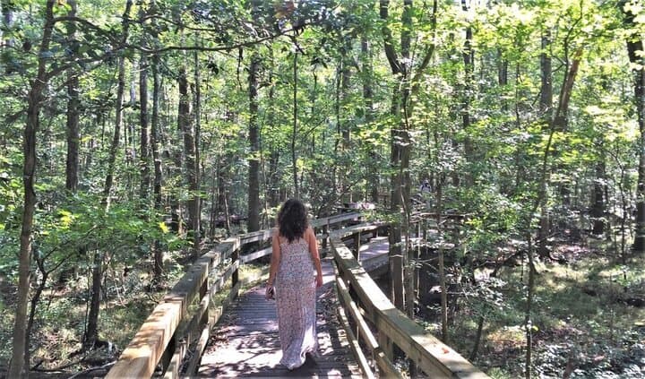 Walking the boardwalk in Congaree National park
