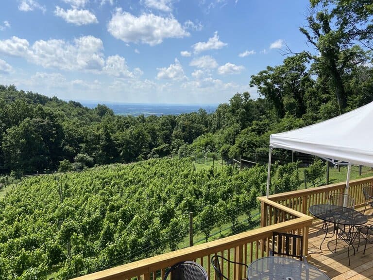 a winery in Virginia