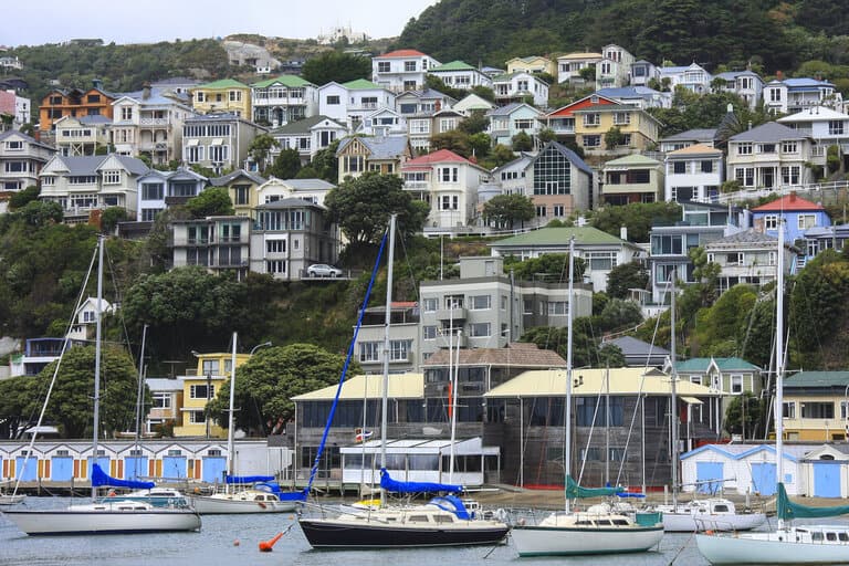 houses on Wellington Harbour