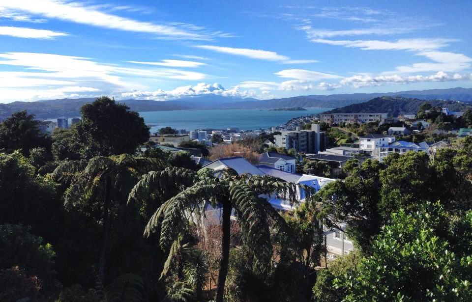 pros and cons of living in Wellington