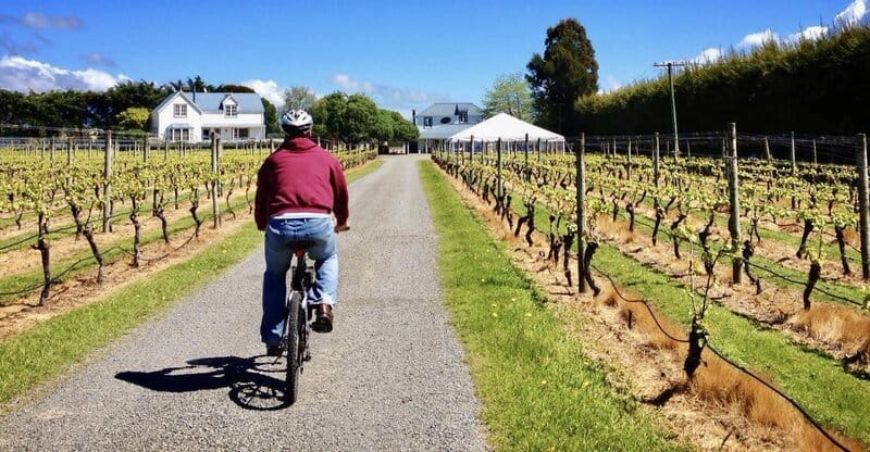 biking through the Martinborough vineyards in New Zealand