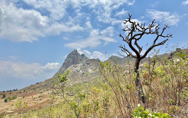 view along the Nkhoma Mountain hike in Malawi 