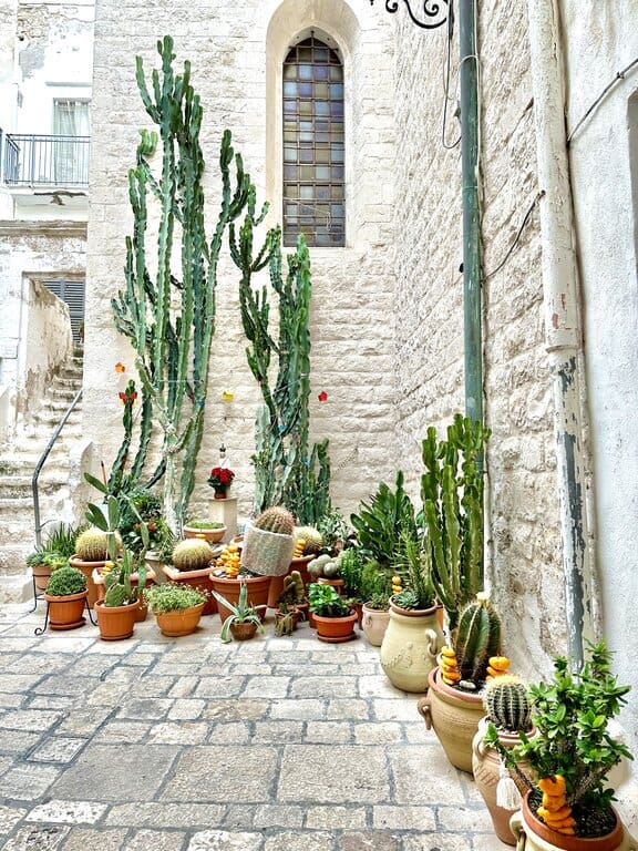 Is Polignano a Mare worth visiting? The cactus garden in Polignano a Mare