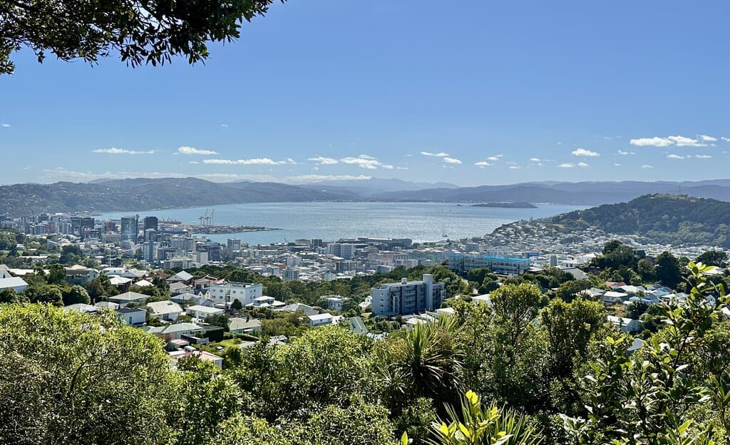 Wellington city as seen from Brooklyn hill