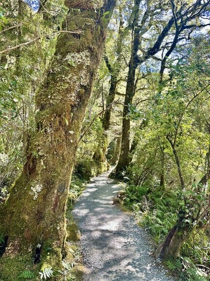 the Lake Marian Track path