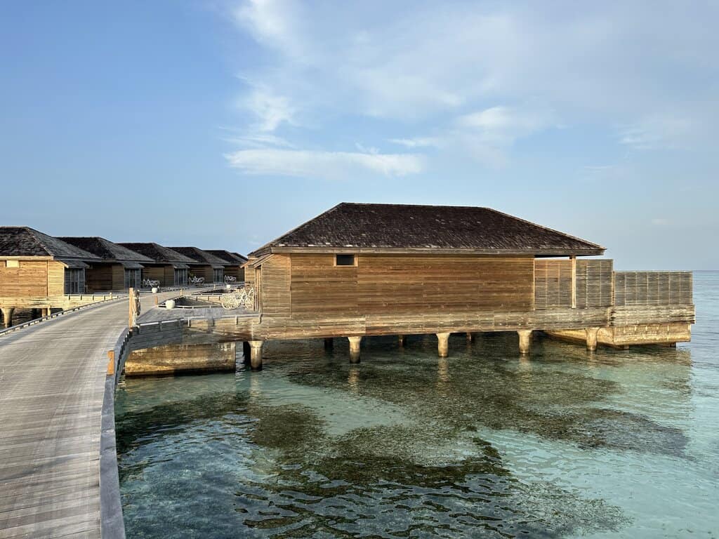 sea grass in Jawakara Maldvies